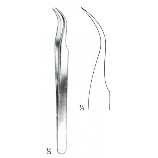 WE-08-2146-11
