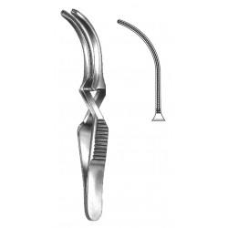 WE-19-5530-10