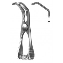 WE-19-5536-07