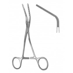 WE-19-5596-02