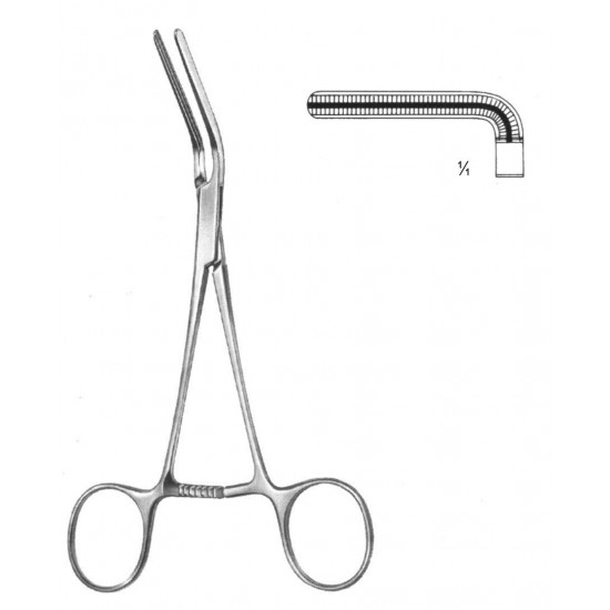 WE-19-5751-01