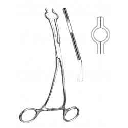 WE-19-5765-06