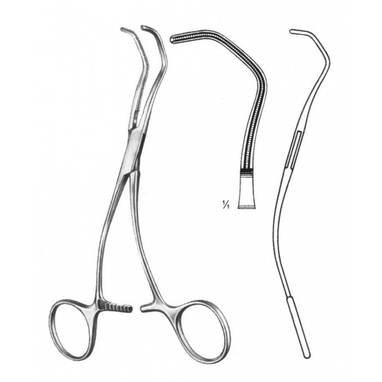 WE-19-5800-16