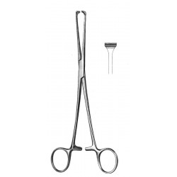 WE-19-5850-20
