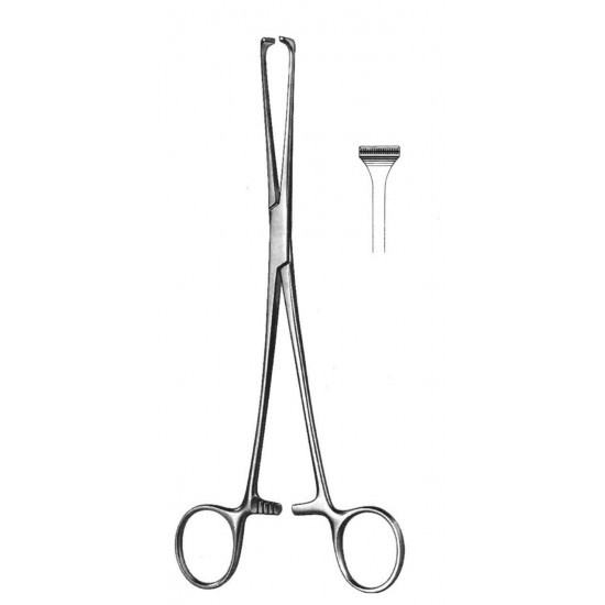 WE-19-5850-20