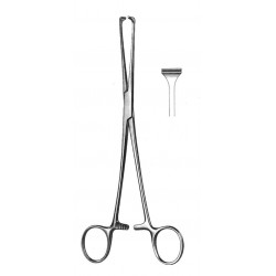 WE-19-5850-25
