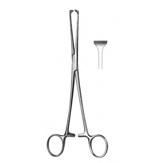 WE-19-5850-30