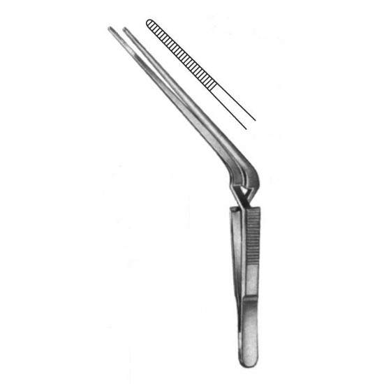 WE-21-6339-13