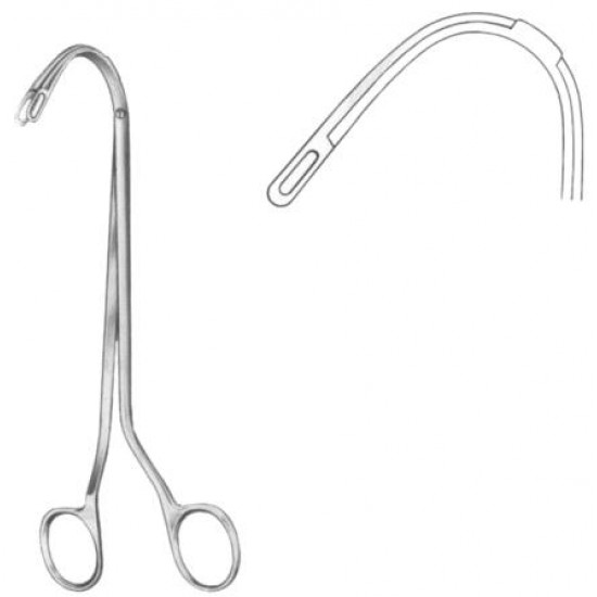 WE-25-7309-01
