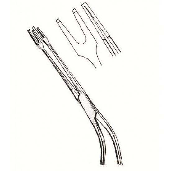 WE-25-7336-05
