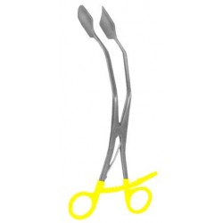 WE-29-8013-00
