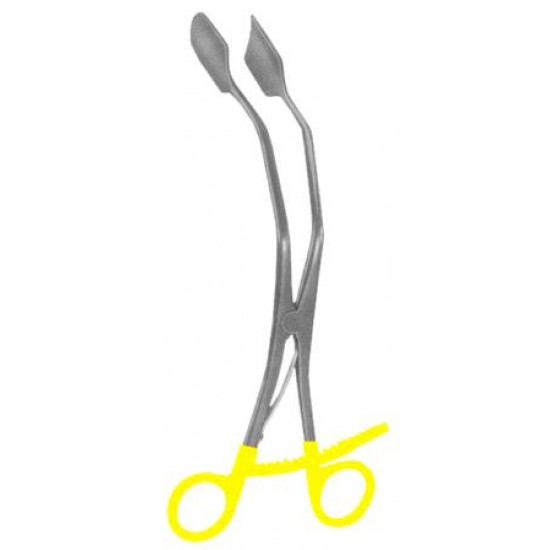 WE-29-8013-00