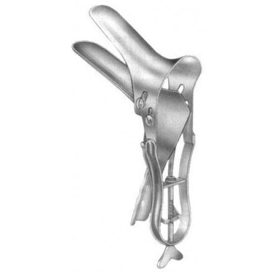 WE-29-8017-01