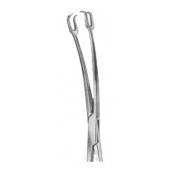 WE-29-8170-24