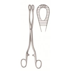 WE-29-8190-25
