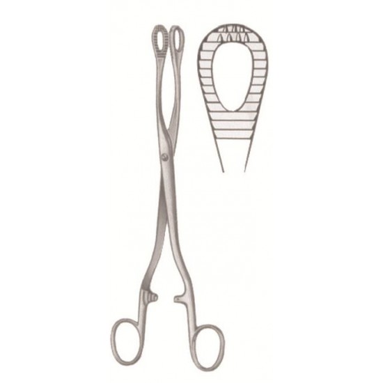 WE-29-8190-25