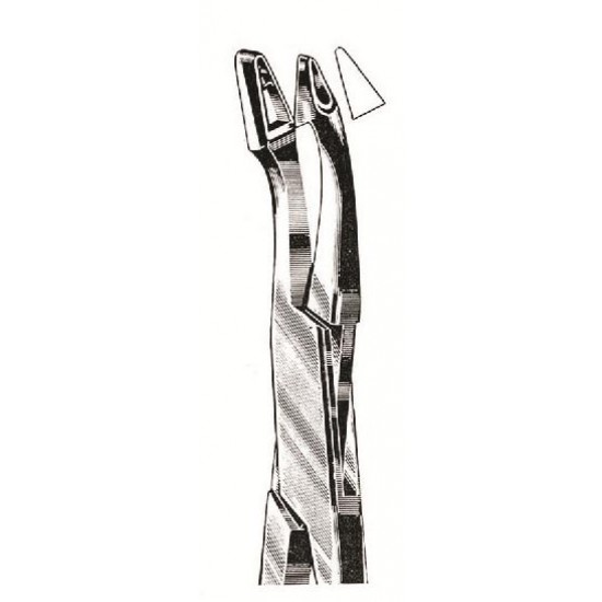 WE-29-8204-01