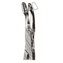 WE-29-8204-02