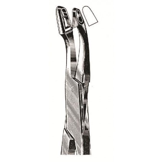 WE-29-8204-02